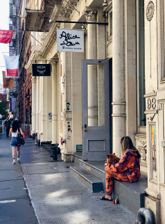 Greene Street between Spring and Prince